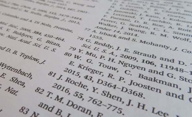 Close-up of reference section showing reference styles